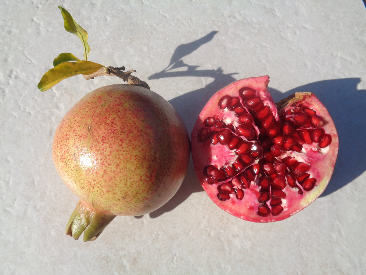 Granatapfel Salavatski Frucht aufgeschnitten