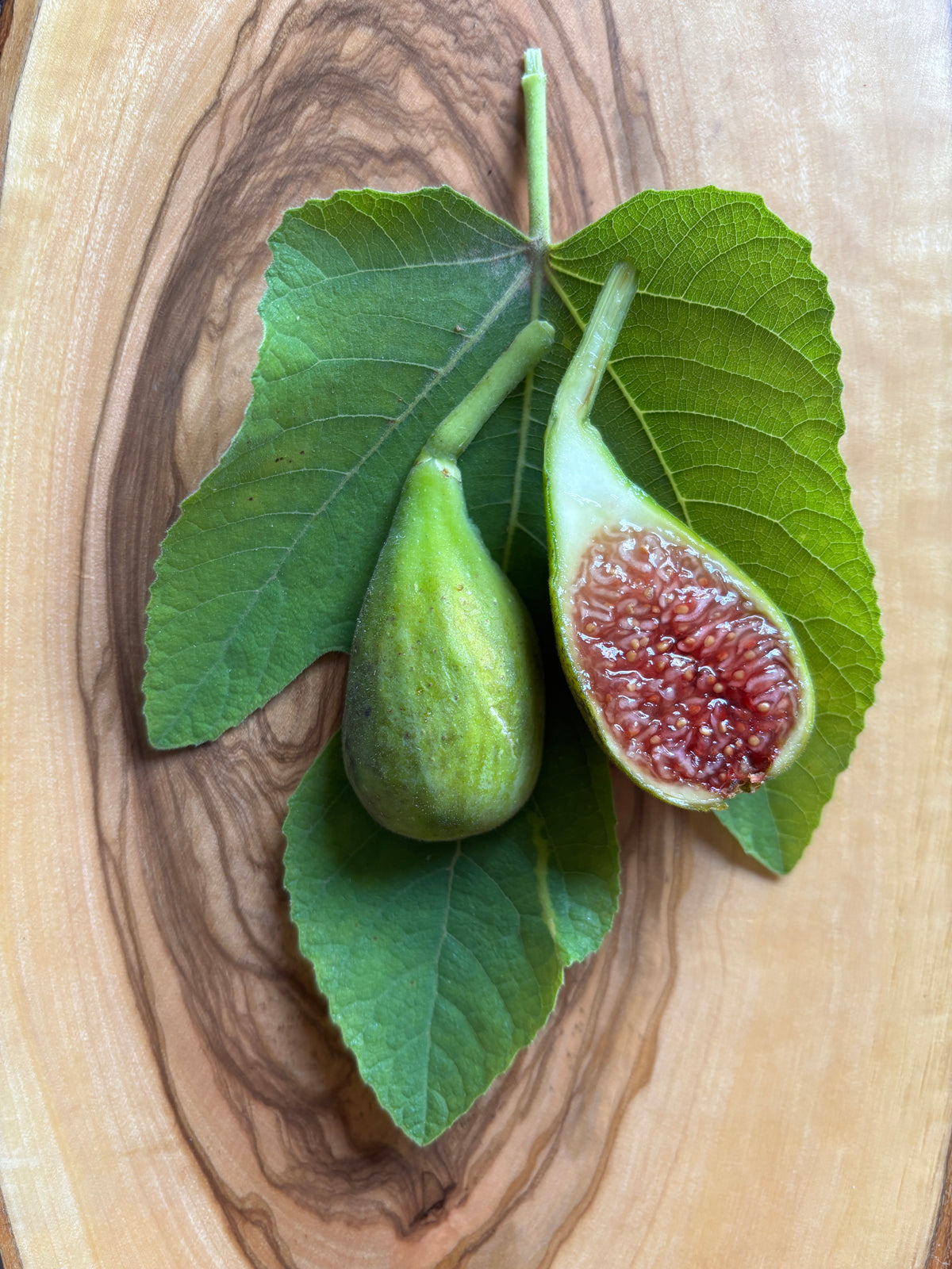 Feigenbaum - Paradiso