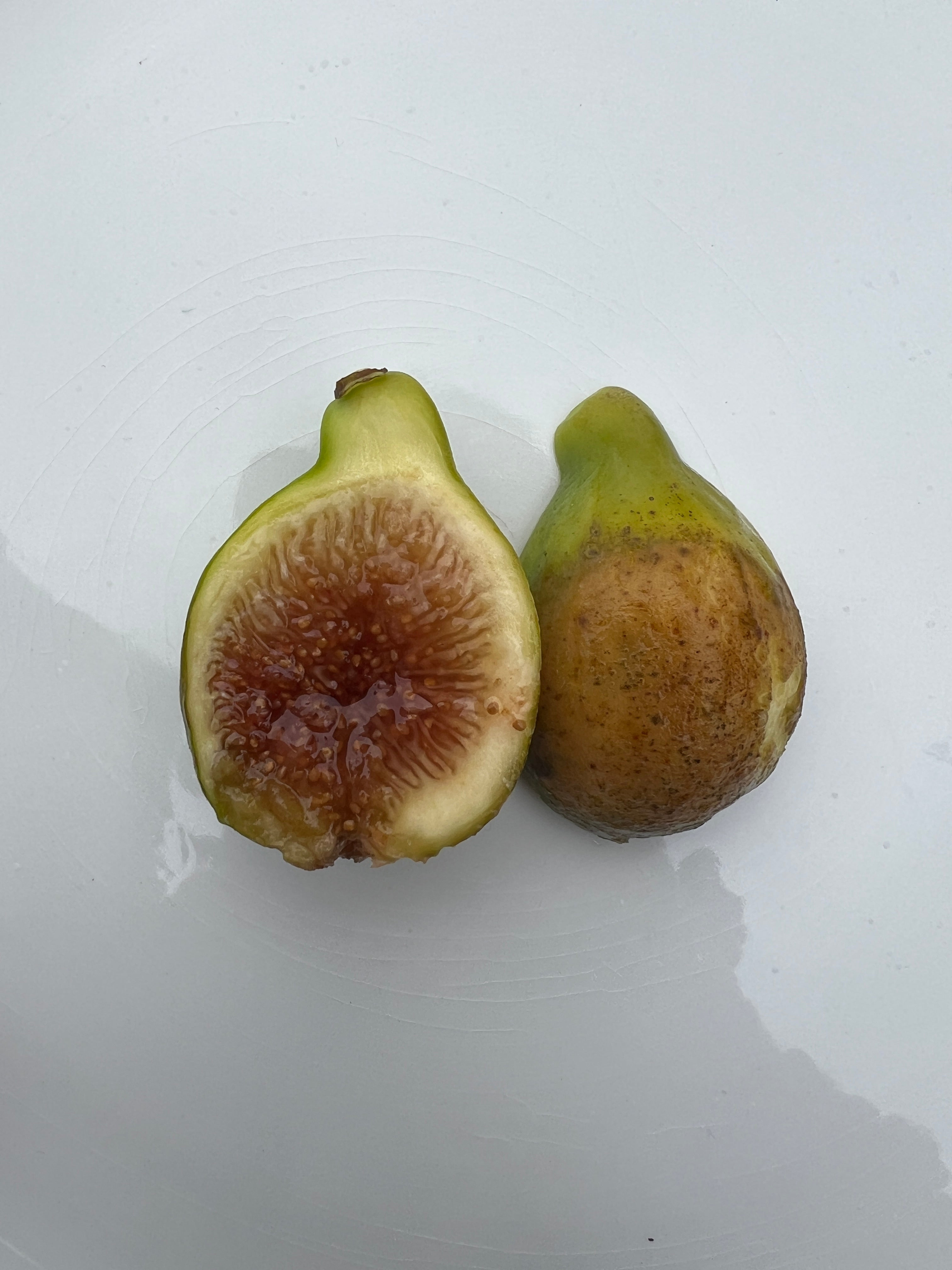 Feigenbaum - Figue de Marseille