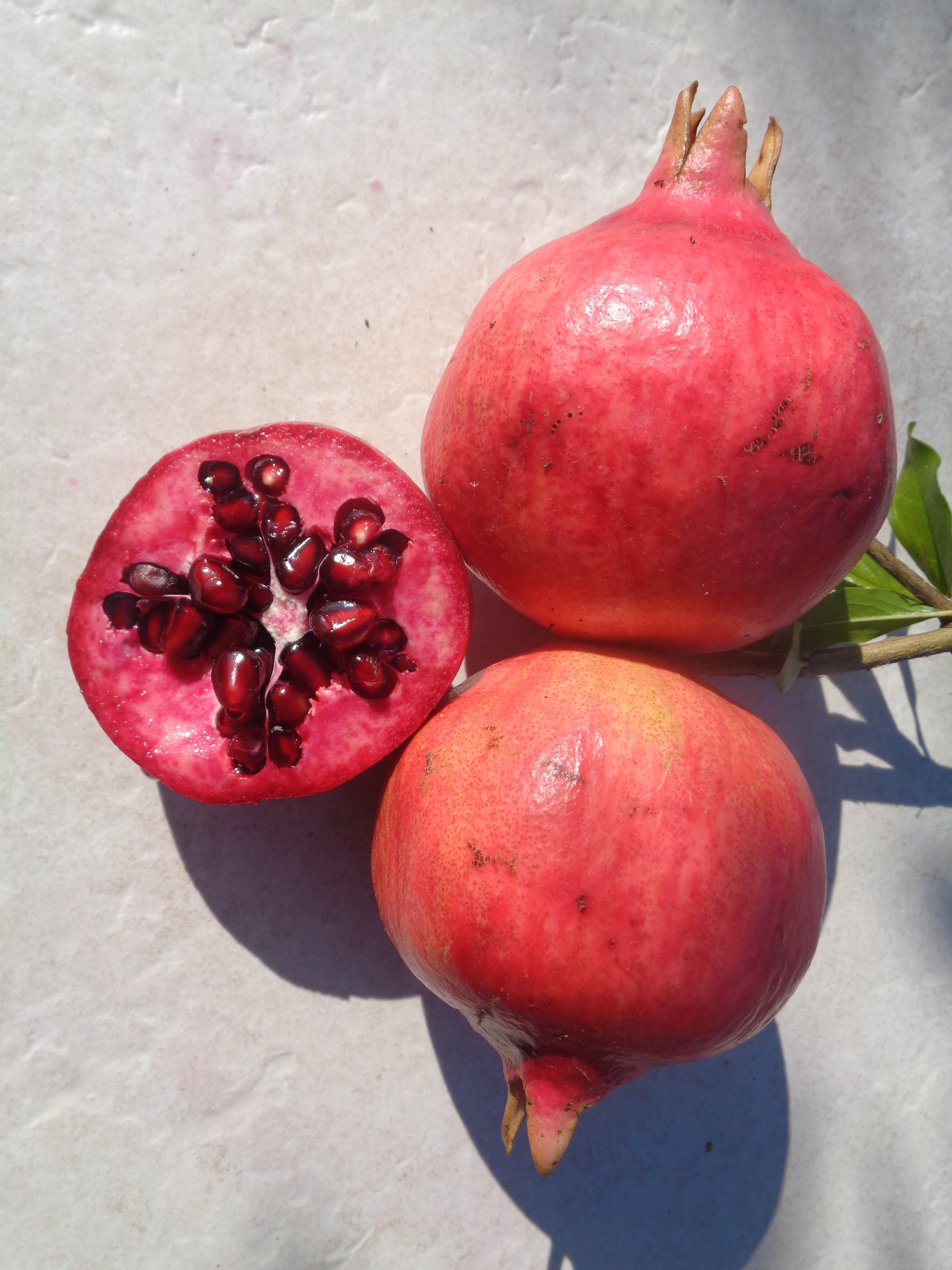 ranatäpfel der Sorte Vishnevyi mit roter Schale und dunkelroten Kernen