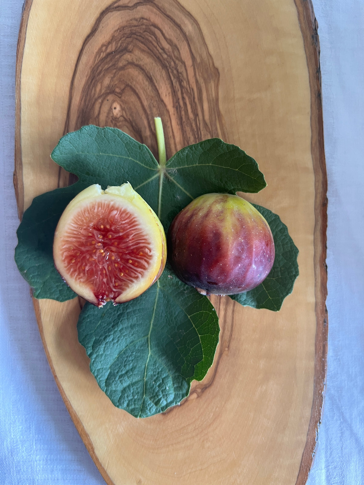 Feigenbaum - Dauphine