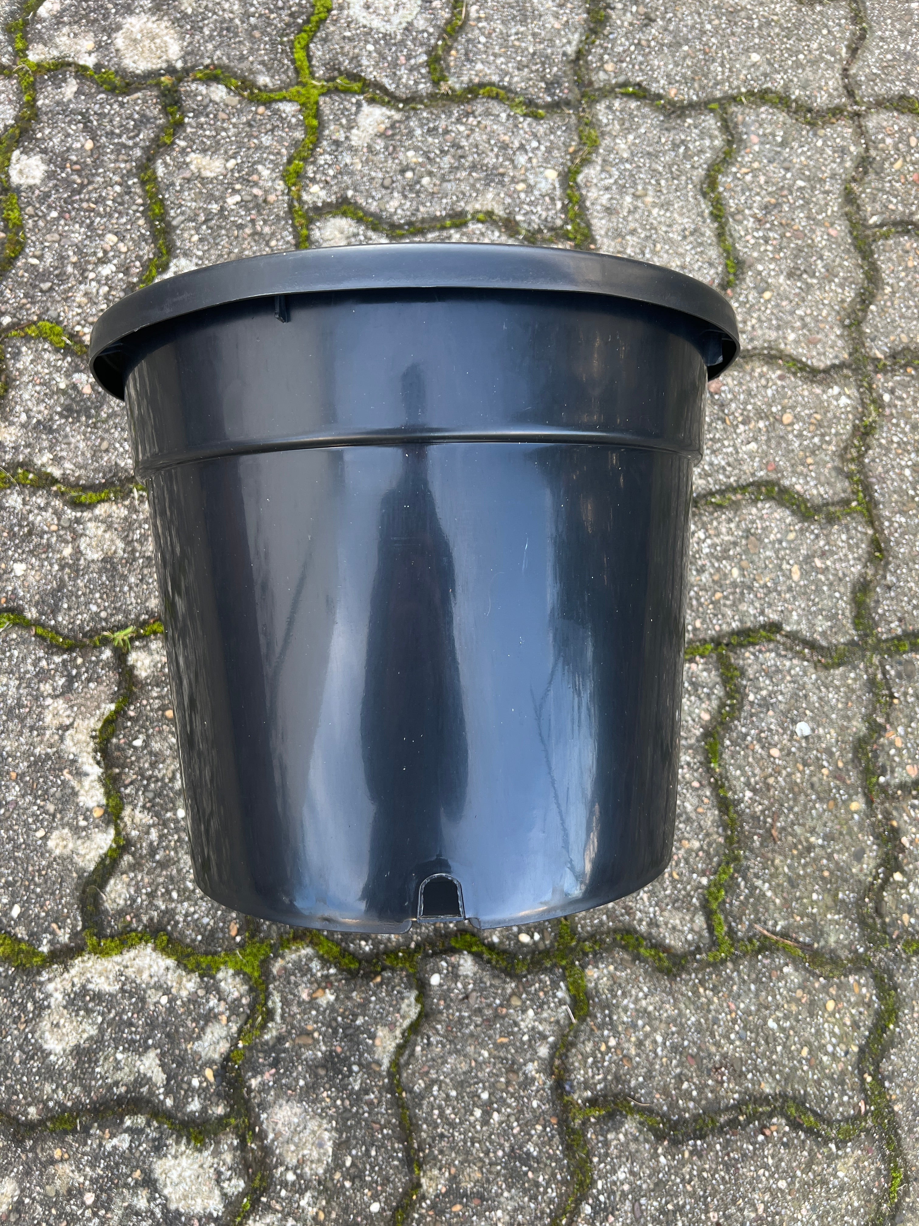 Pflanzkübel - 22 Liter